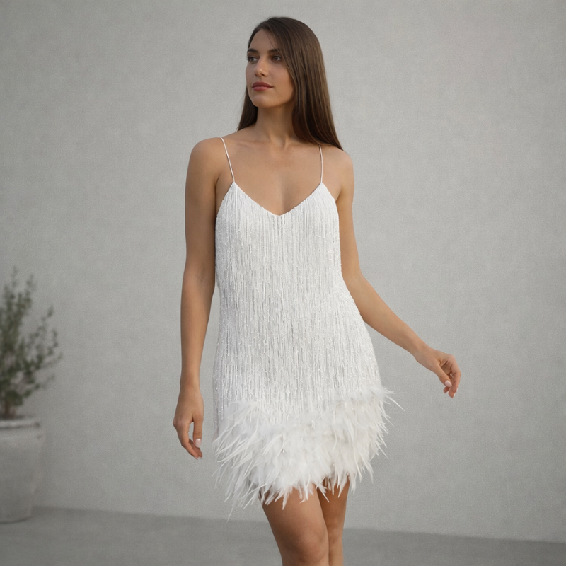 Women’s Fringe Feather Party Dress | Mini